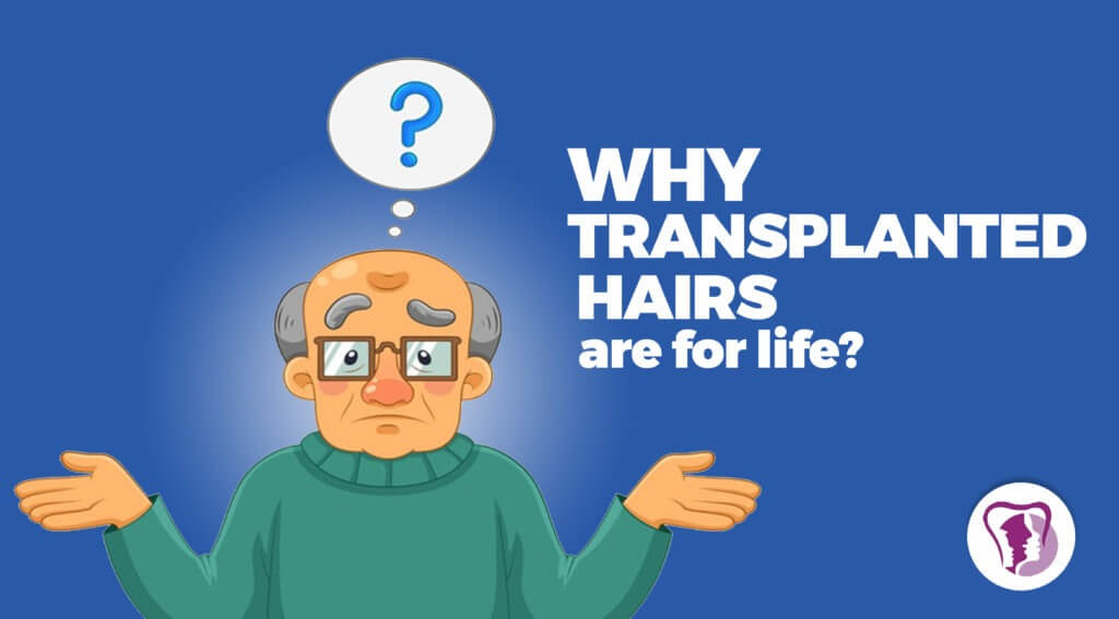 Why transplanted hairs are for life