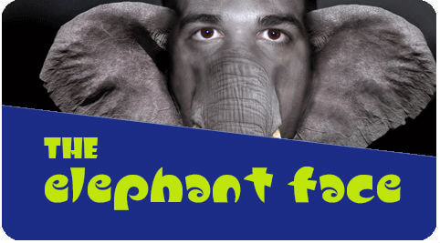 elephant face surgery in India